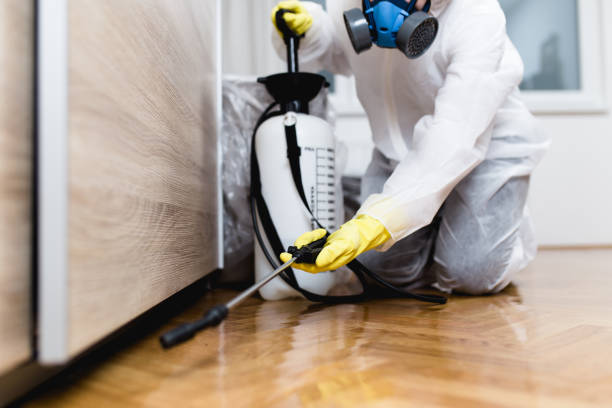 Best Mosquito Control Services  in Mineola, TX