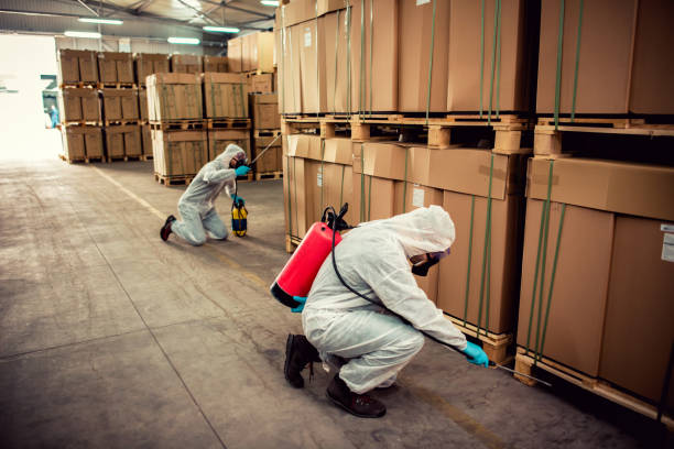 Flea Control Services in Mineola, TX