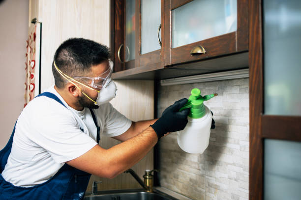 Best Best Pest Control Companies  in Mineola, TX