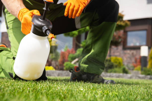 Best Best Pest Control Companies  in Mineola, TX