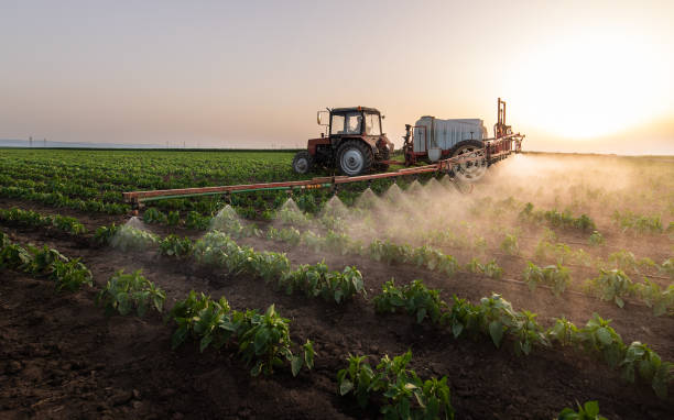 Best Commercial Pest Control Services  in Mineola, TX