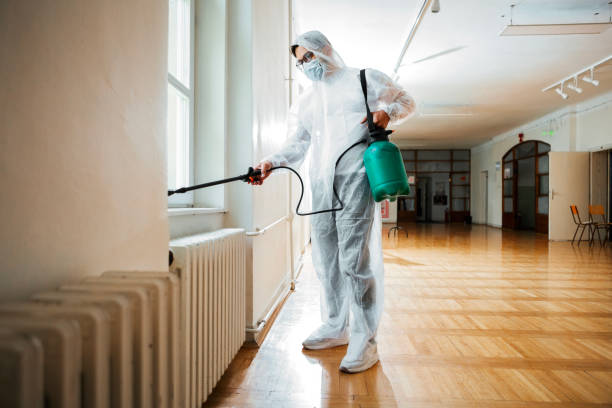 Best Flea Control Services  in Mineola, TX