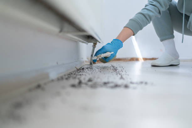 Best Wildlife Control Services  in Mineola, TX